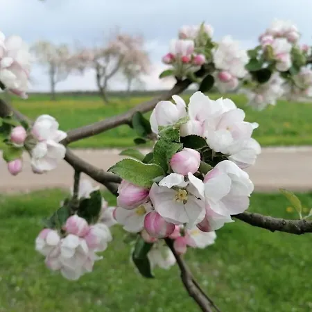 Old Parish Barn Holiday home