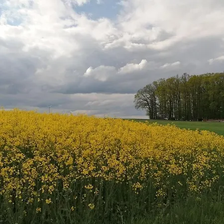Old Parish Barn Creglingen