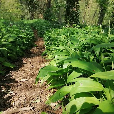 Old Parish Barn Holiday home *