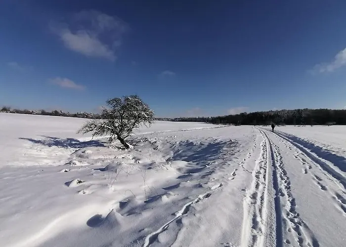 Old Parish Barn 別荘 *