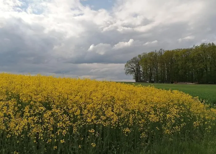 Old Parish Barn クレーグリンゲン