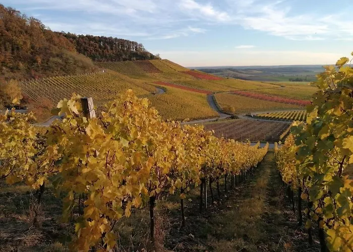 別荘 Old Parish Barn *