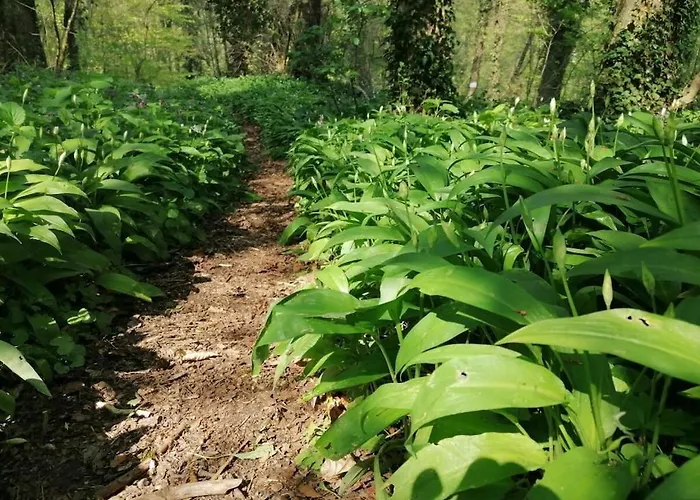 Old Parish Barn 別荘 *